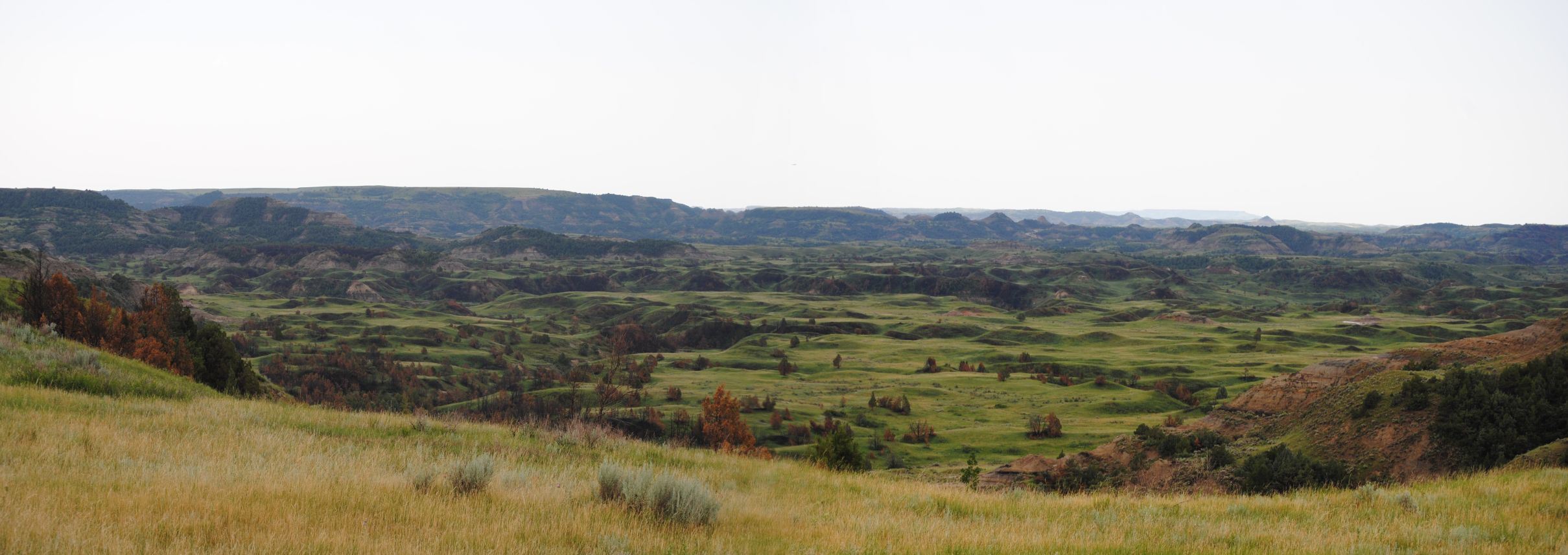Panoramic view of the Theodore Roosevelt National Park -